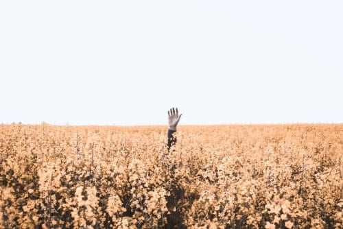 lost hand in field